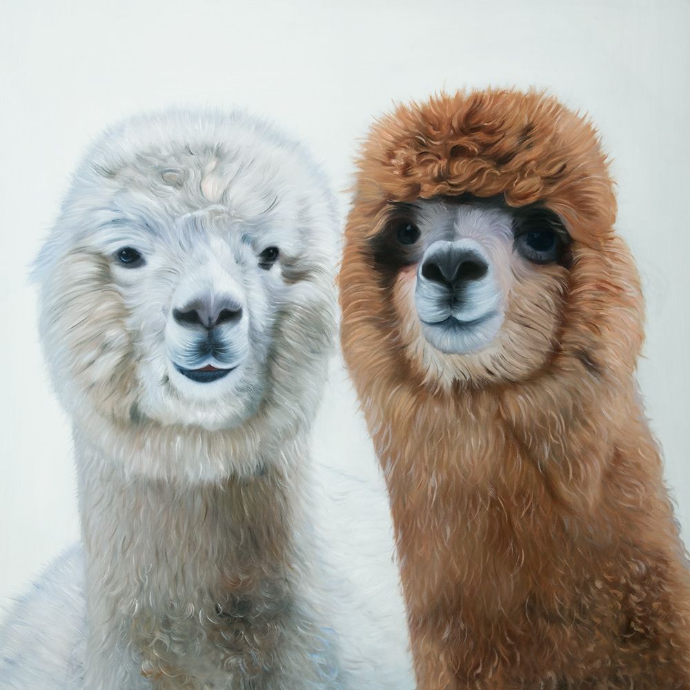 TWO LAMAS art print by Atelier B Art Studio for $57.95 CAD