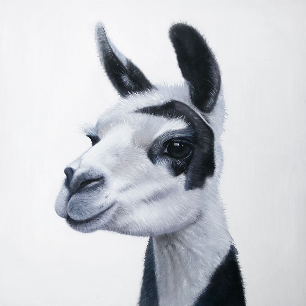 BLACK and WHITE LAMA art print by Atelier B Art Studio for $57.95 CAD