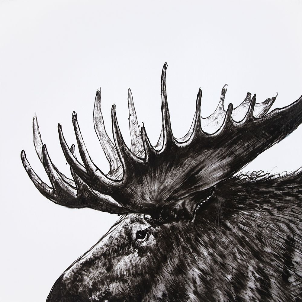 MOOSE PLUME art print by Atelier B Art Studio for $57.95 CAD