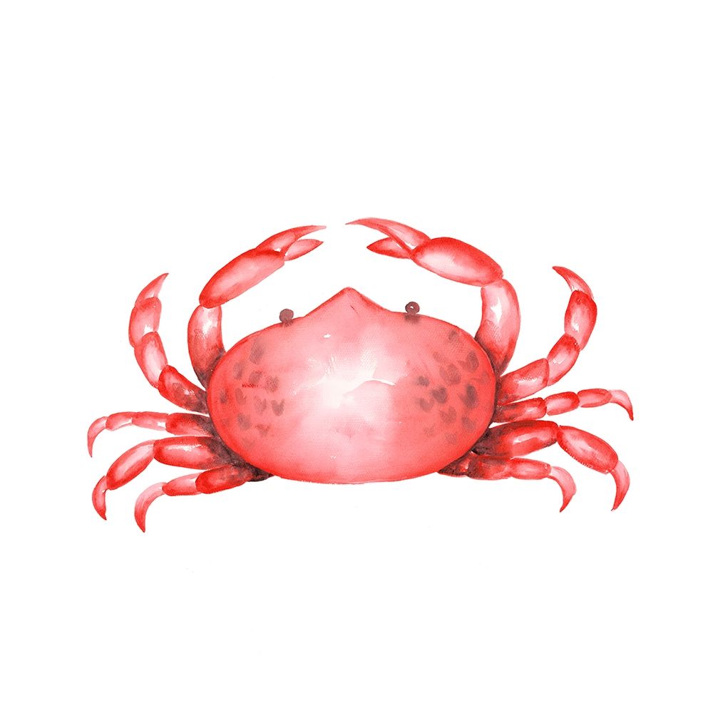 CRAB art print by Atelier B Art Studio for $57.95 CAD