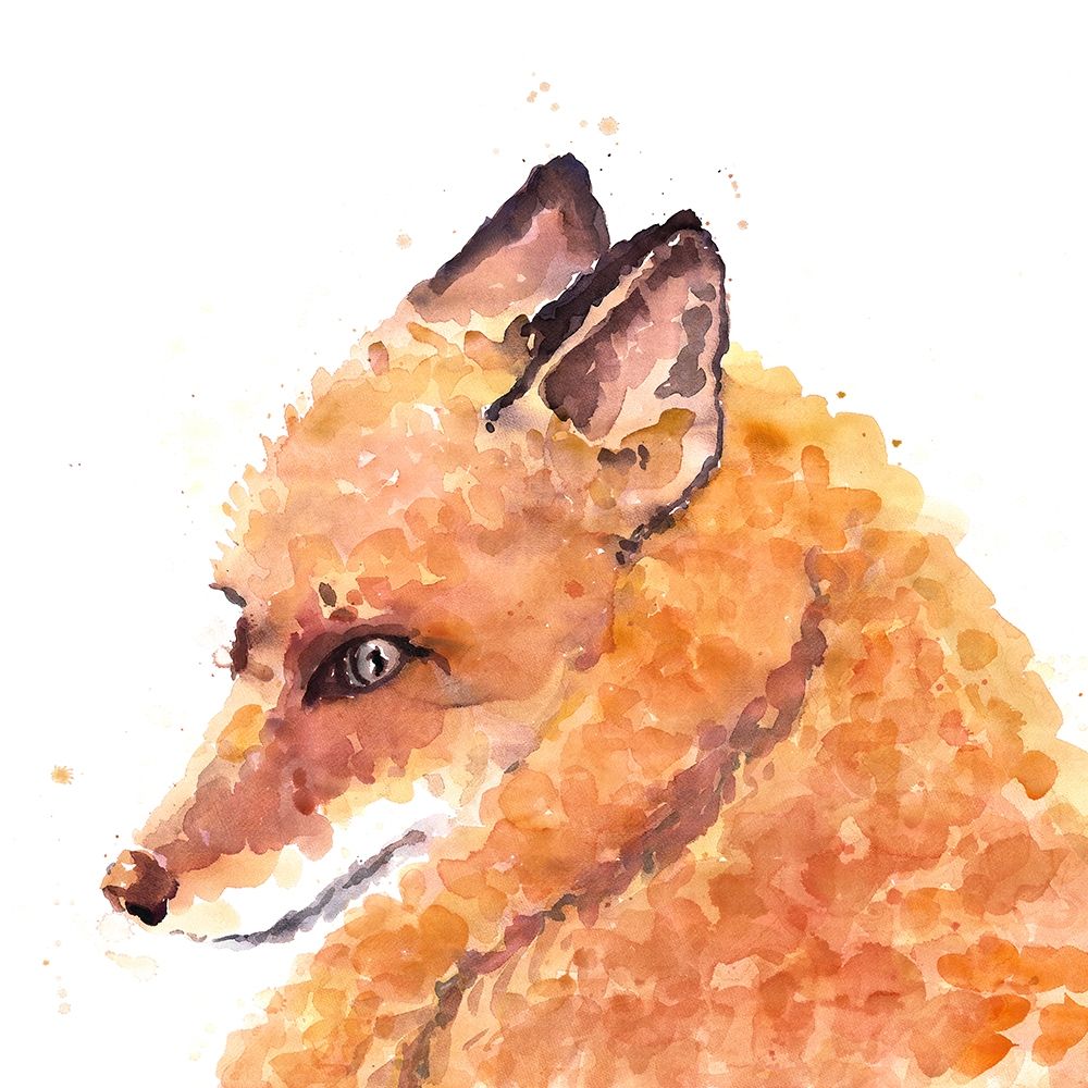 FOX art print by Atelier B Art Studio for $57.95 CAD