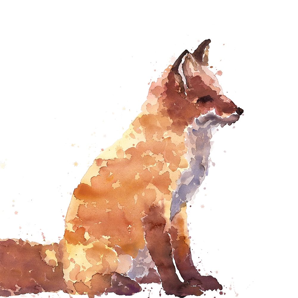 RED FOX art print by Atelier B Art Studio for $57.95 CAD