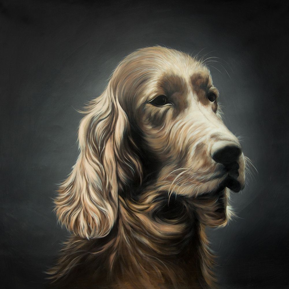 FIELD SPANIEL art print by Atelier B Art Studio for $57.95 CAD
