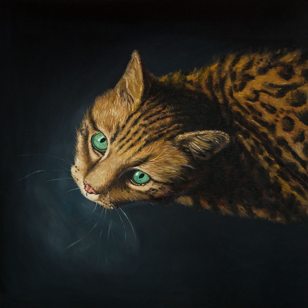 BENGAL CAT art print by Atelier B Art Studio for $57.95 CAD
