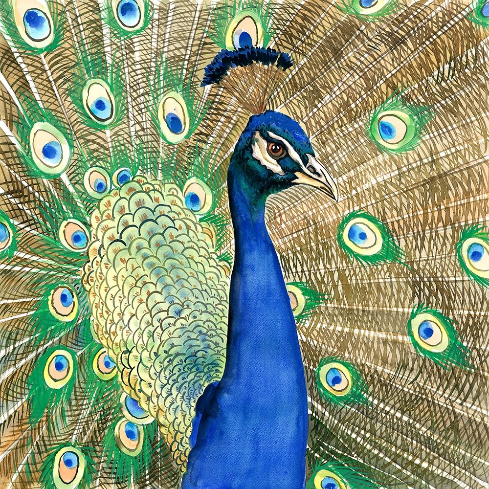 PEACOCK art print by Atelier B Art Studio for $57.95 CAD