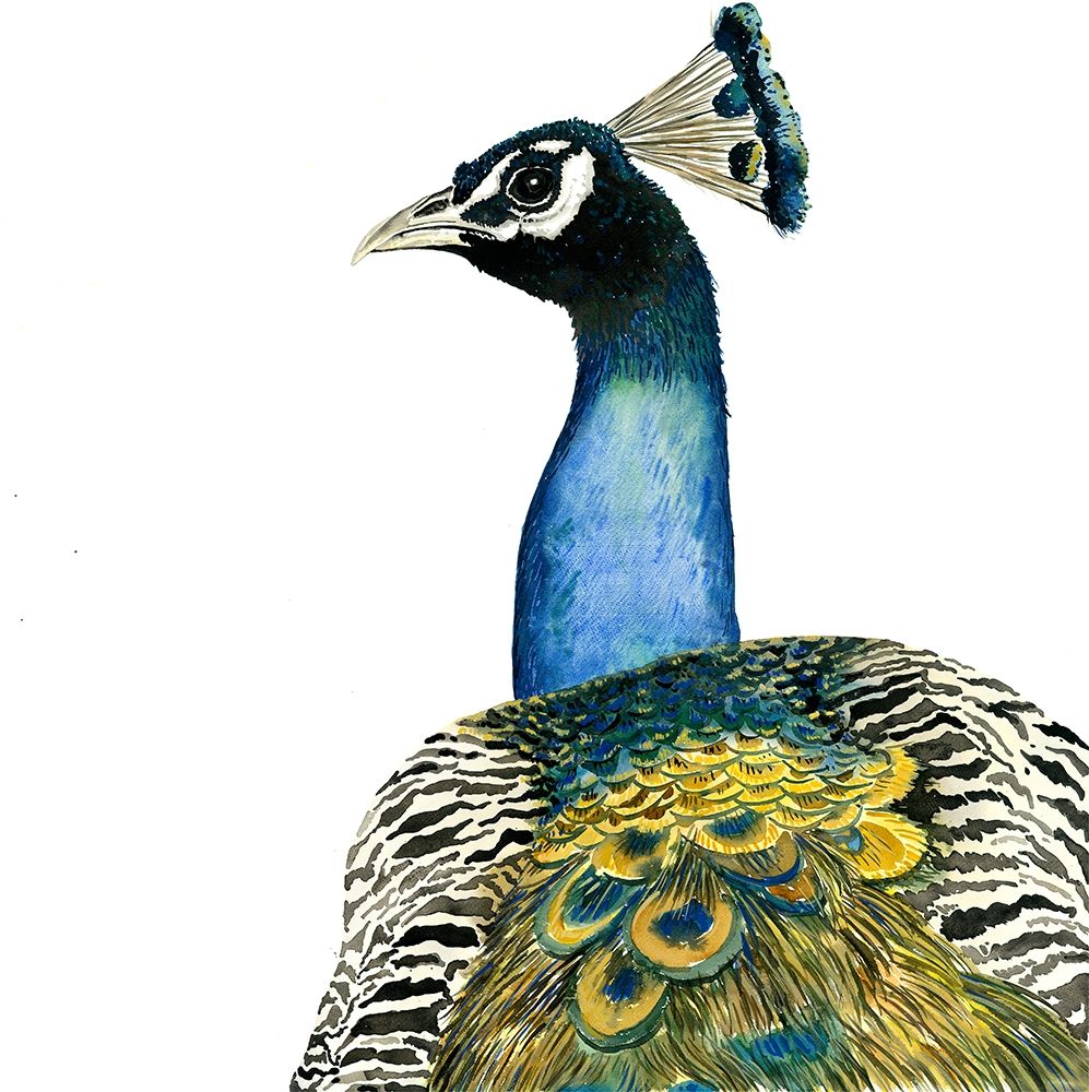 WATERCOLOR PEACOCK art print by Atelier B Art Studio for $57.95 CAD