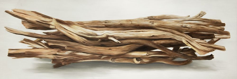 FLOATED WOOD LEFT BY THE SEA art print by Atelier B Art Studio for $57.95 CAD