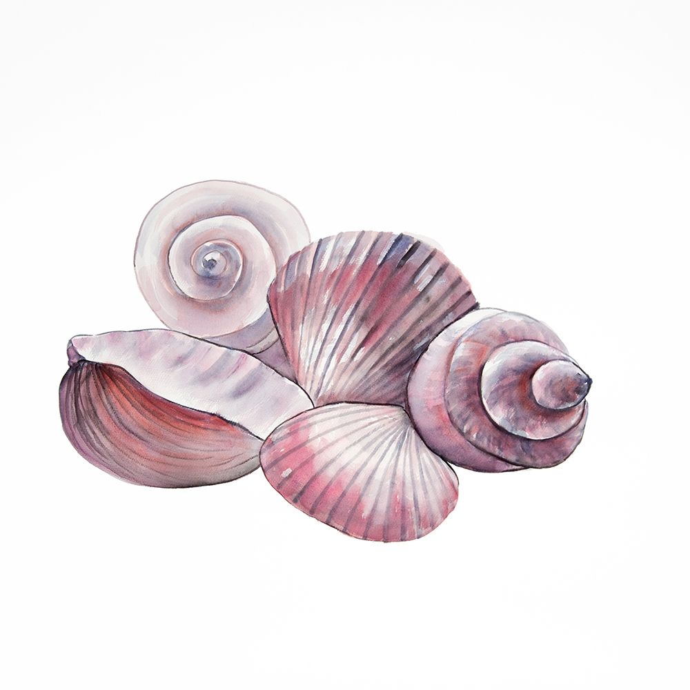SEASIDE SHELLS art print by Atelier B Art Studio for $57.95 CAD