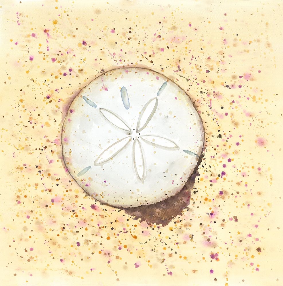 SAND-DOLLAR art print by Atelier B Art Studio for $57.95 CAD