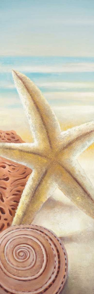 Starfish and Seashells at the Beach art print by Atelier B Art Studio for $57.95 CAD