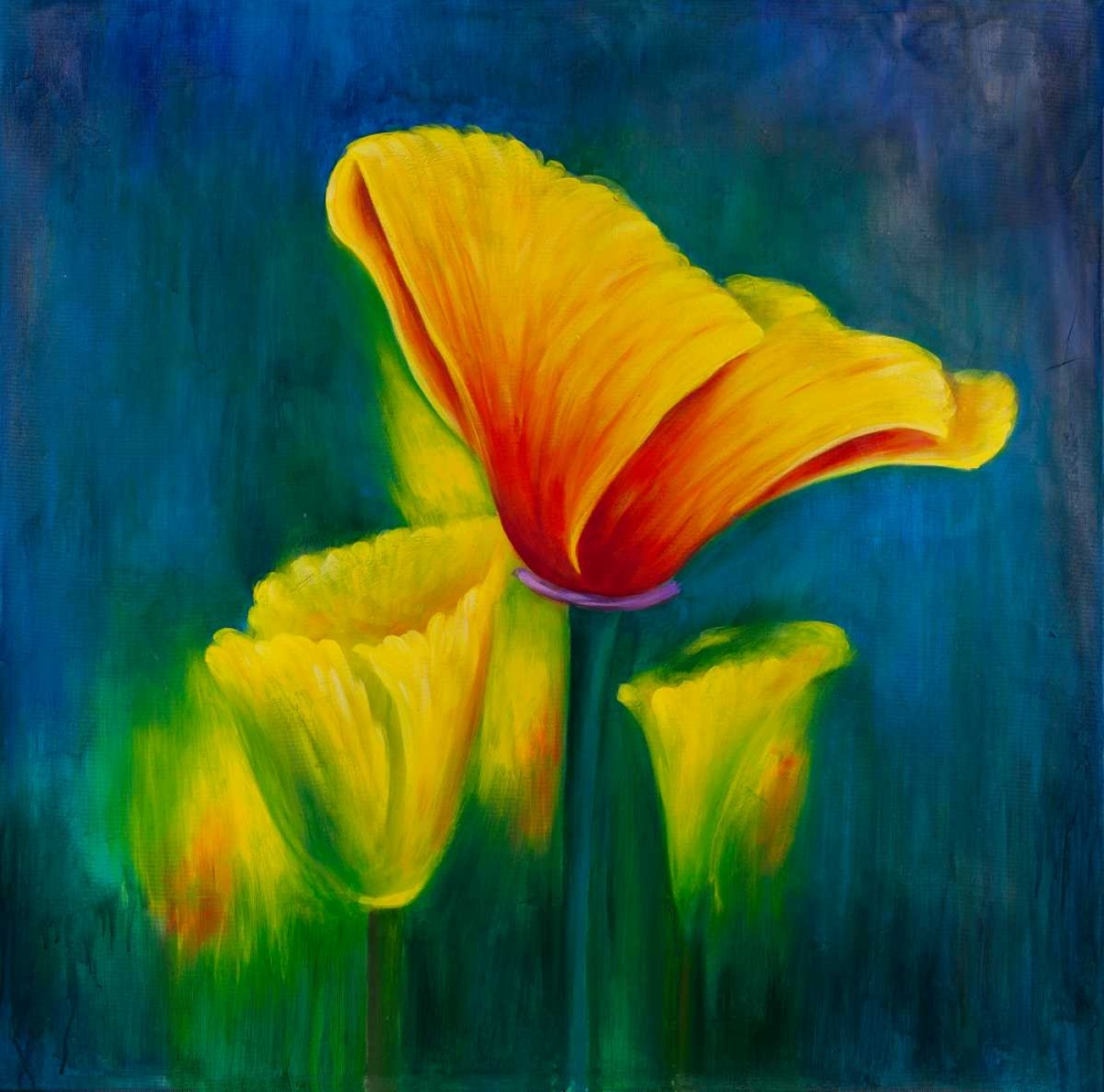 Beautiful Colorful Flowers art print by Atelier B Art Studio for $57.95 CAD