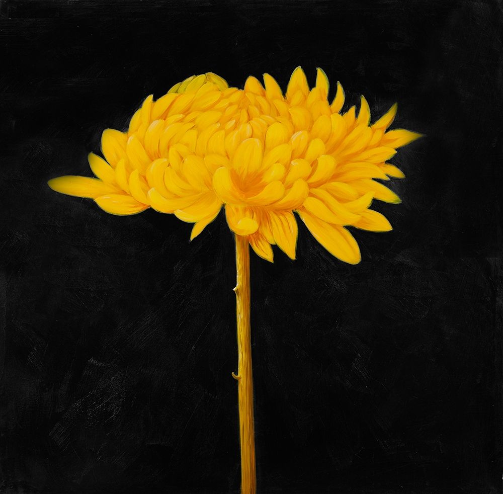 YELLOW FLOWER IN THE DARK art print by Atelier B Art Studio for $57.95 CAD