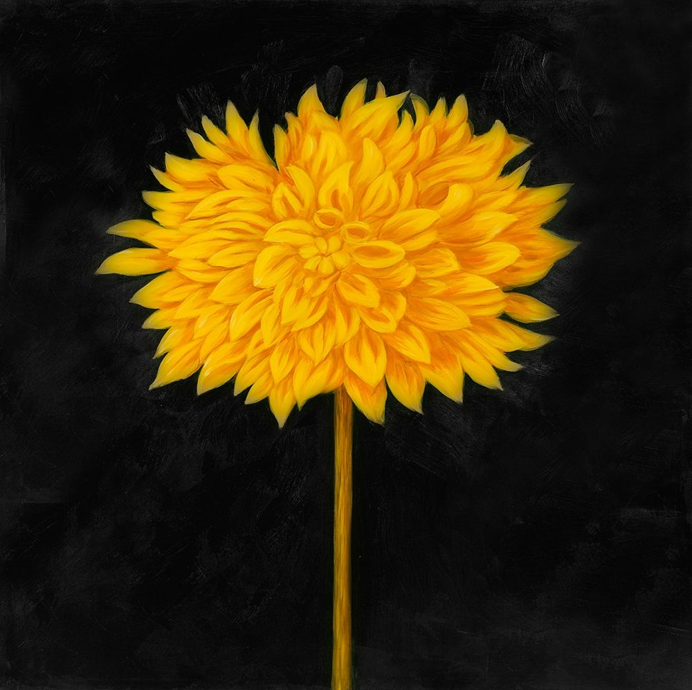 YELLOW DAHLIA art print by Atelier B Art Studio for $57.95 CAD