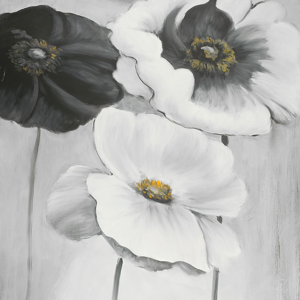 ASSORTED WHITE FLOWERS art print by Atelier B Art Studio for $57.95 CAD
