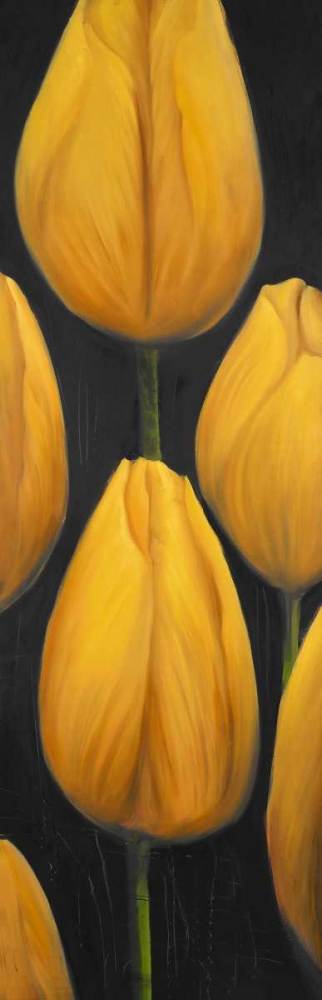 Six Daffodils Flowers art print by Atelier B Art Studio for $57.95 CAD