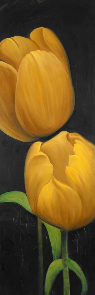 Two Daffodils Flowers art print by Atelier B Art Studio for $57.95 CAD