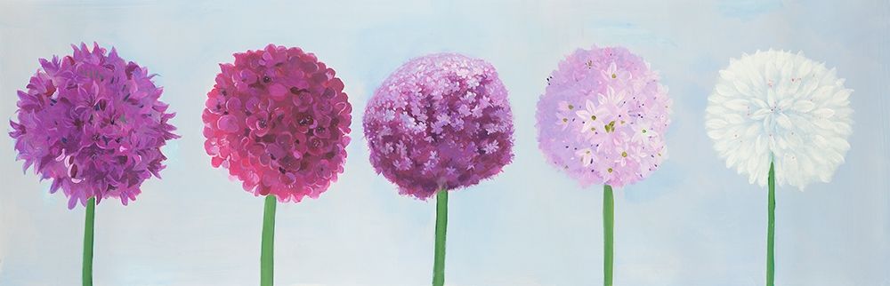 DALIA PONPOM art print by Atelier B Art Studio for $57.95 CAD