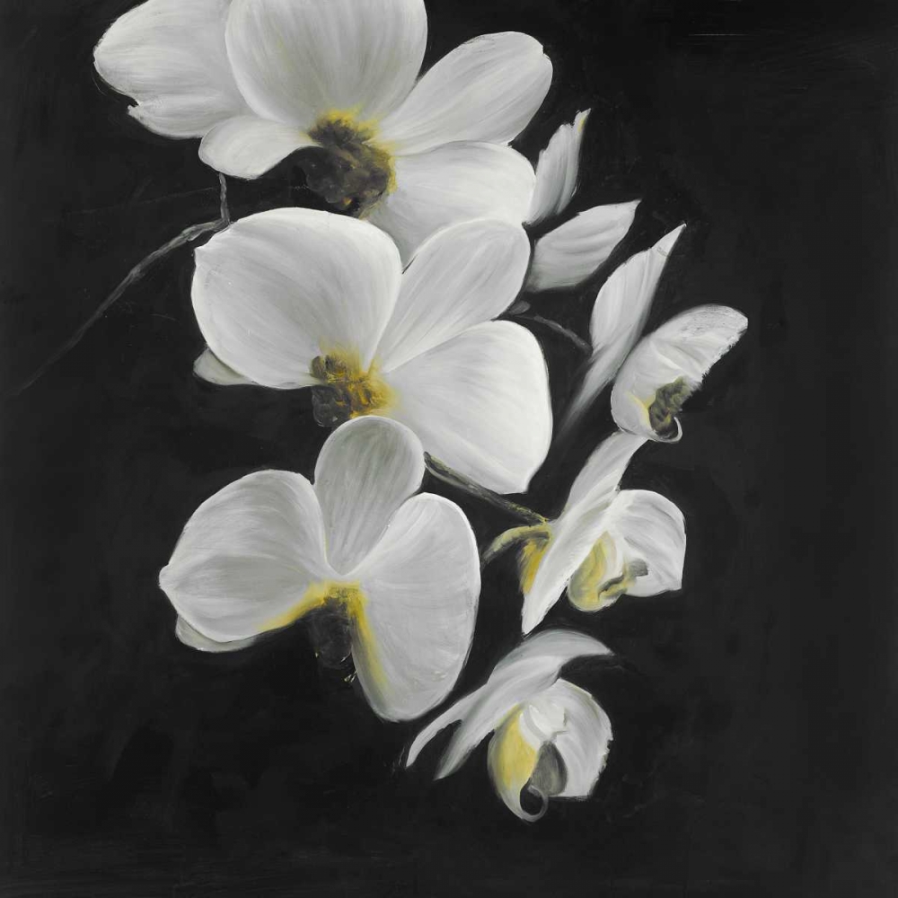 Beautiful Orchids art print by Atelier B Art Studio for $57.95 CAD
