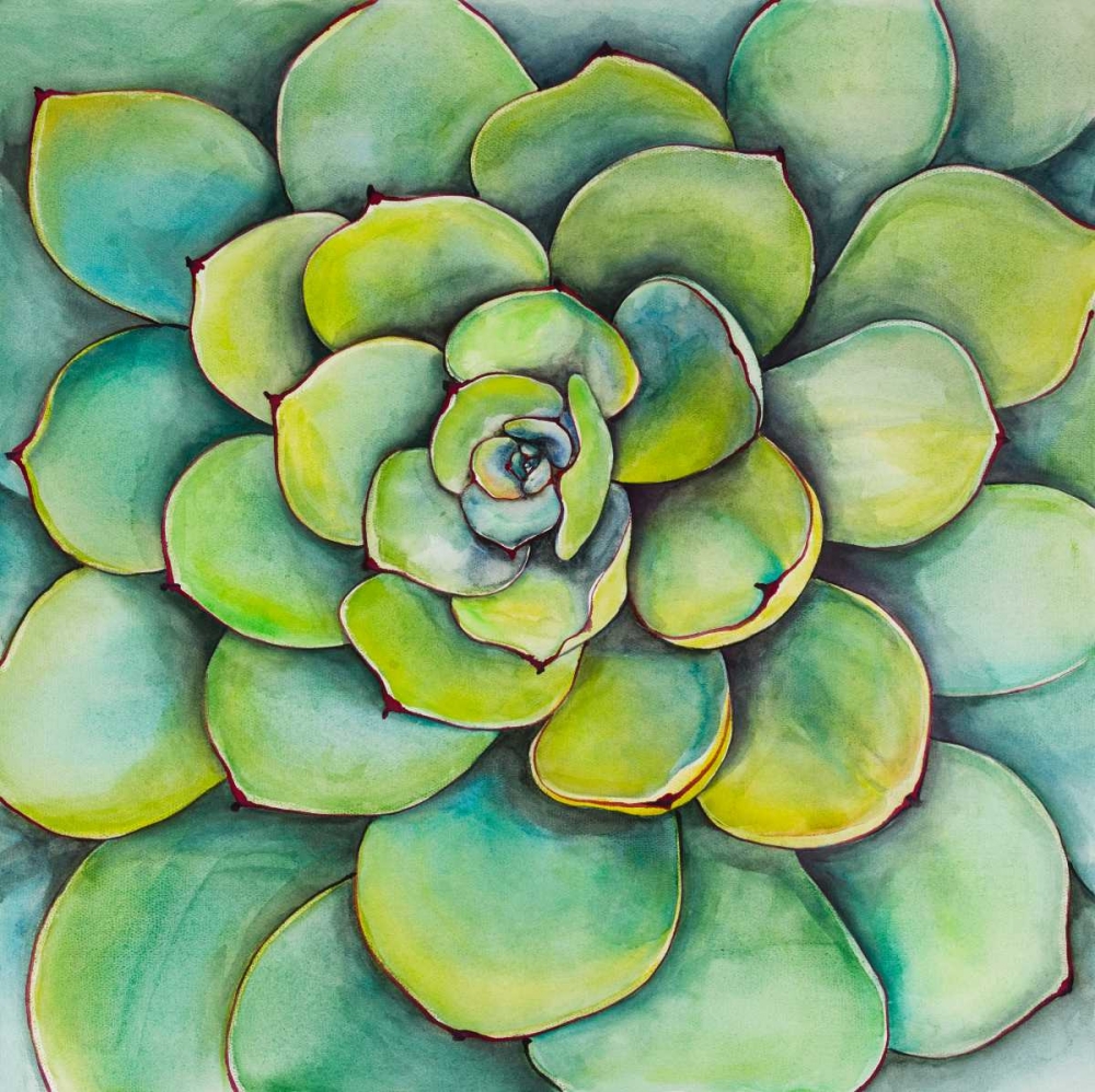 Watercolor Succulent Plant art print by Atelier B Art Studio for $57.95 CAD