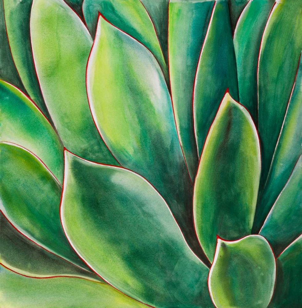 Watercolor Agave Plant art print by Atelier B Art Studio for $57.95 CAD