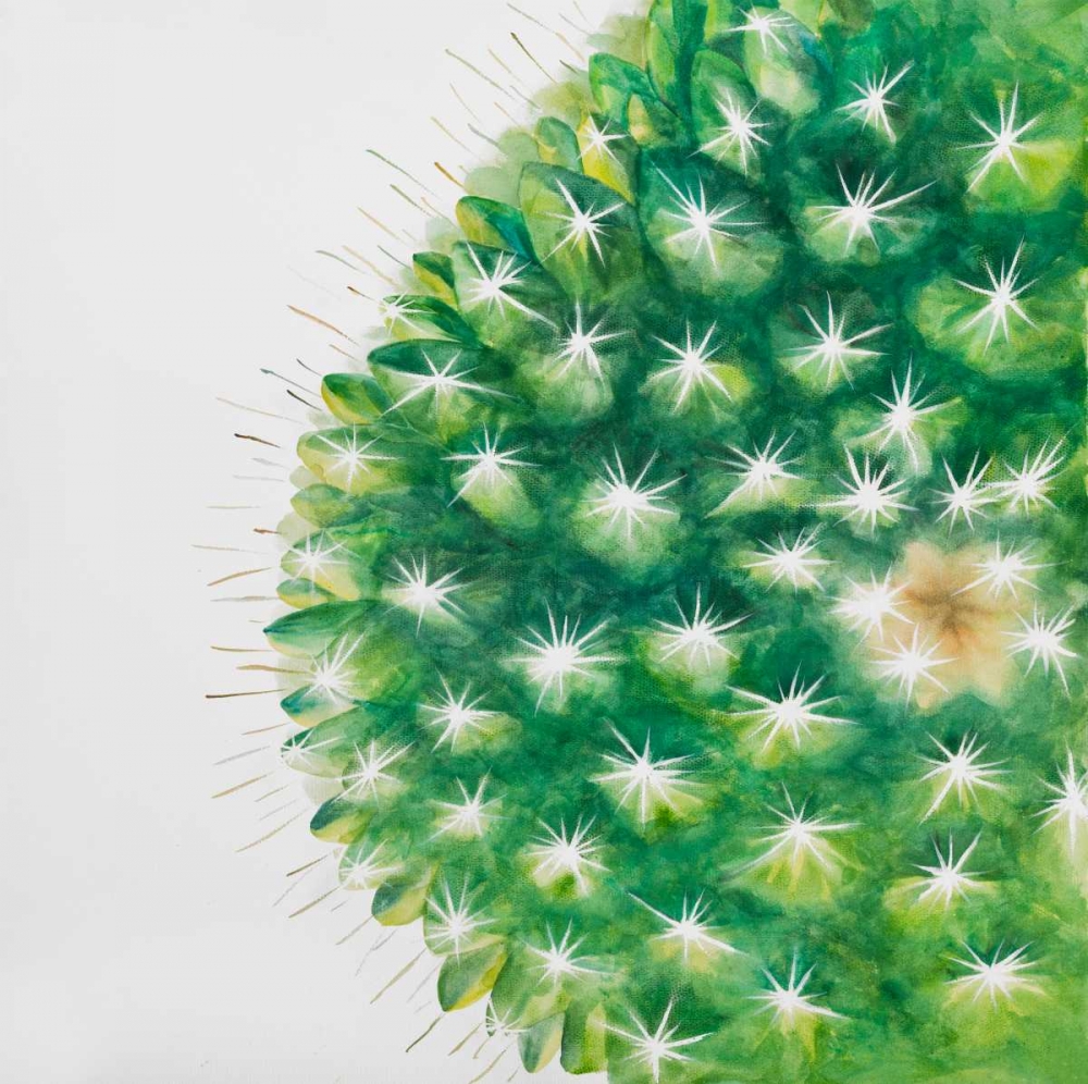 Watercolor Mini Cactus art print by Atelier B Art Studio for $57.95 CAD