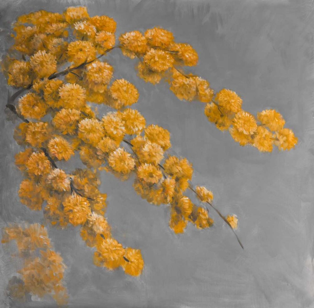Golden Wattle Plant with Flowers art print by Atelier B Art Studio for $57.95 CAD