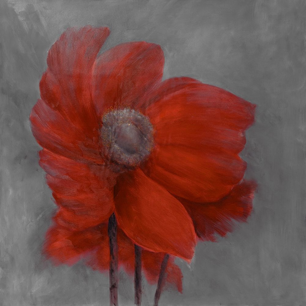 RED FLOWER IN THE WIND art print by Atelier B Art Studio for $57.95 CAD