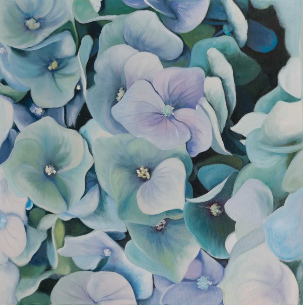 Hydrangea Plant art print by Atelier B Art Studio for $57.95 CAD