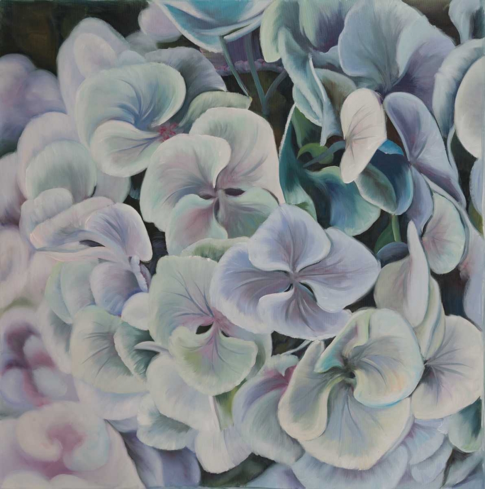 Colorful Hydrangea Flowers art print by Atelier B Art Studio for $57.95 CAD
