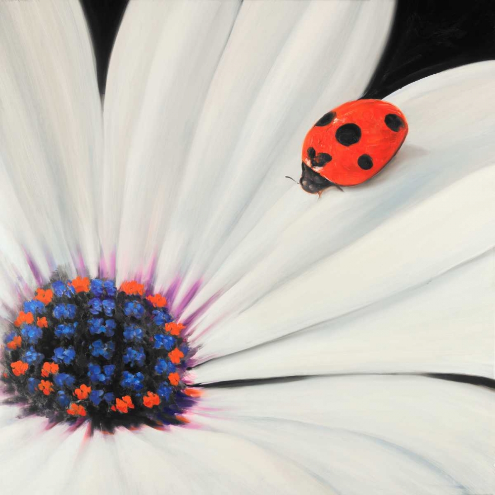 White Daisy and Ladybug art print by Atelier B Art Studio for $57.95 CAD