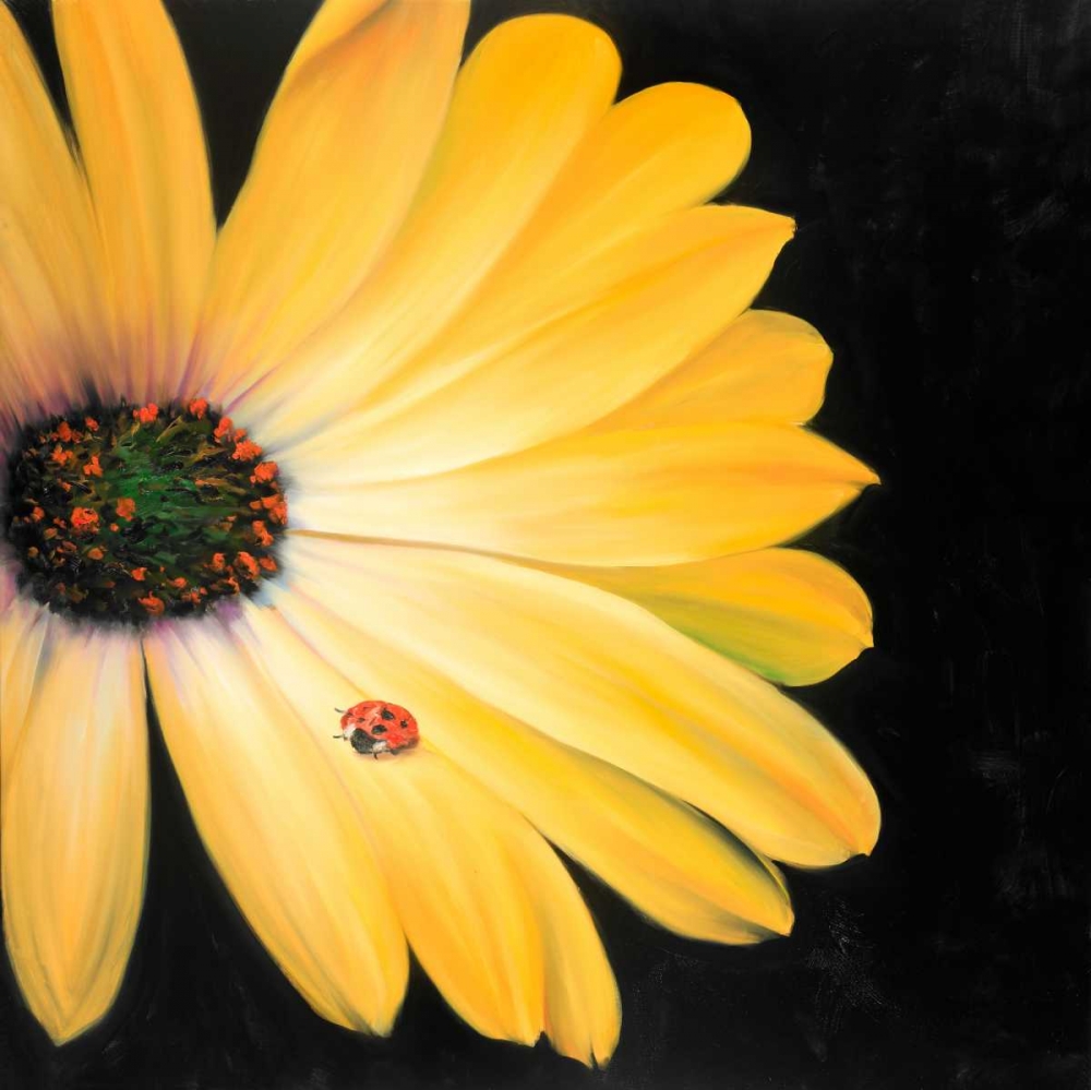 Yellow Daisy and Ladybug art print by Atelier B Art Studio for $57.95 CAD