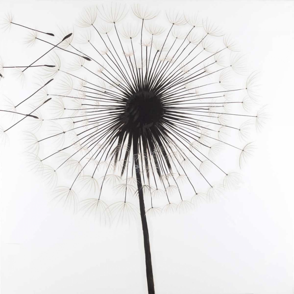Silhouette of Dandelion art print by Atelier B Art Studio for $57.95 CAD