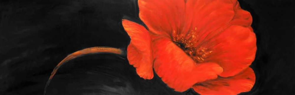 Red Flower art print by Atelier B Art Studio for $57.95 CAD