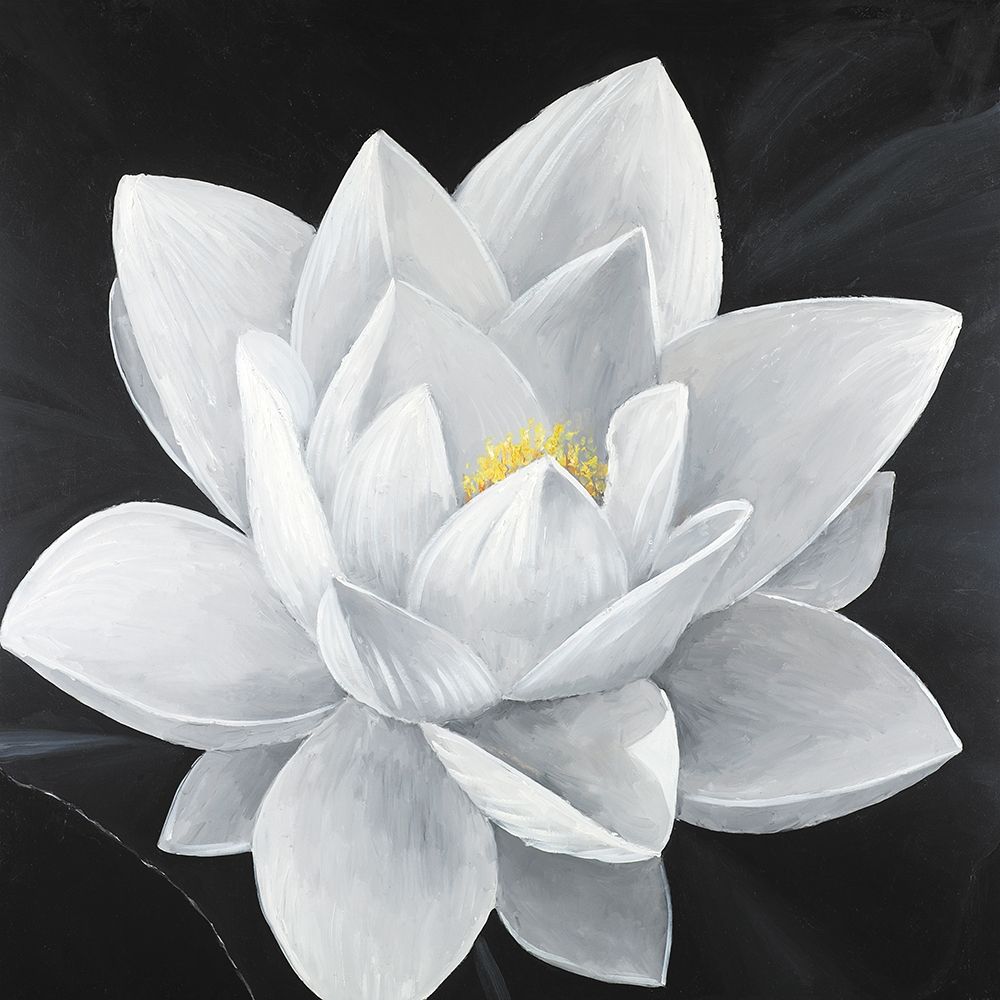 Overhead View of a Lotus Flower art print by Atelier B Art Studio for $57.95 CAD