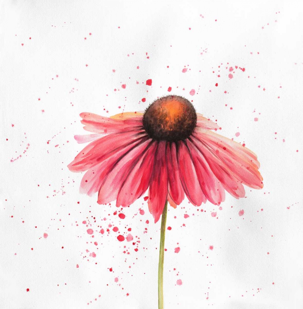 Red Daisy art print by Atelier B Art Studio for $57.95 CAD