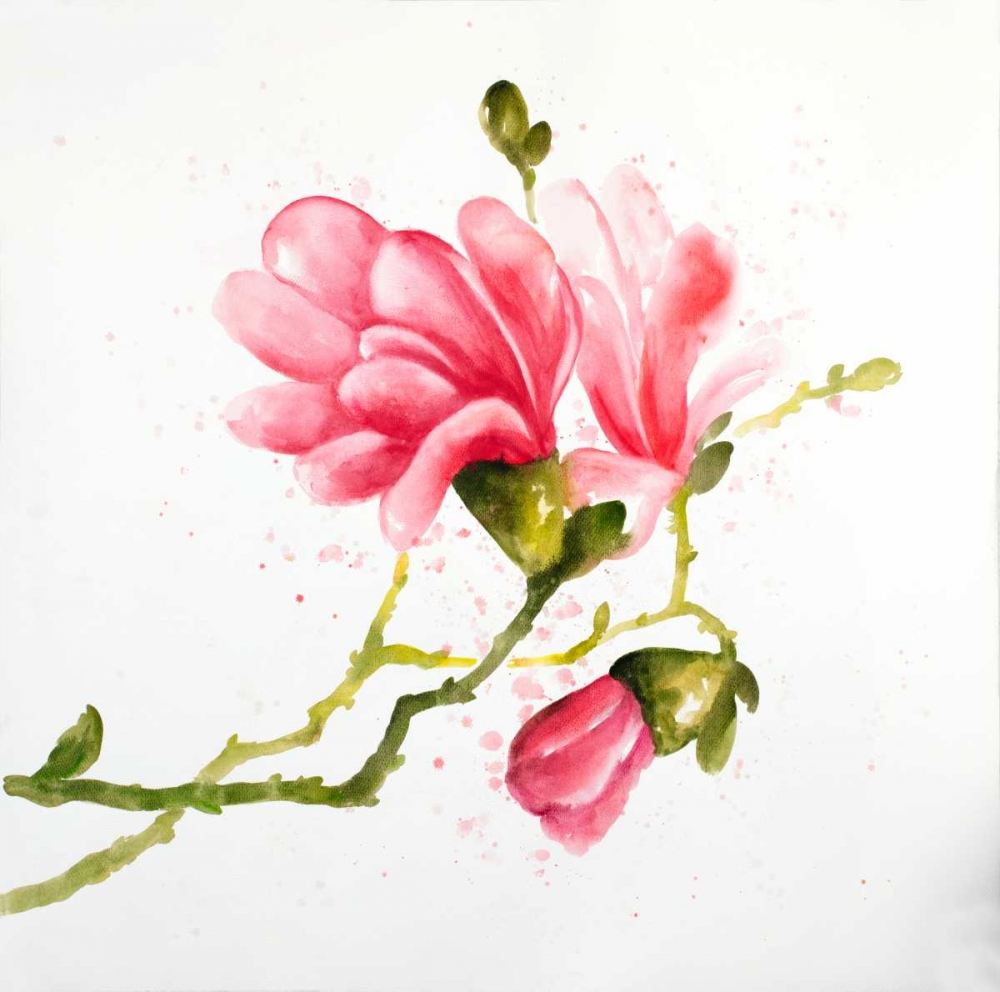 Magnolia Flowers art print by Atelier B Art Studio for $57.95 CAD