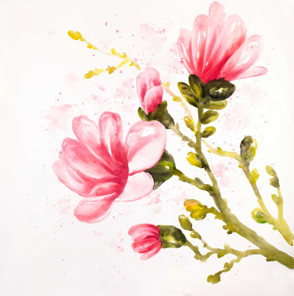 Watercolor Magnolia Flowers art print by Atelier B Art Studio for $57.95 CAD