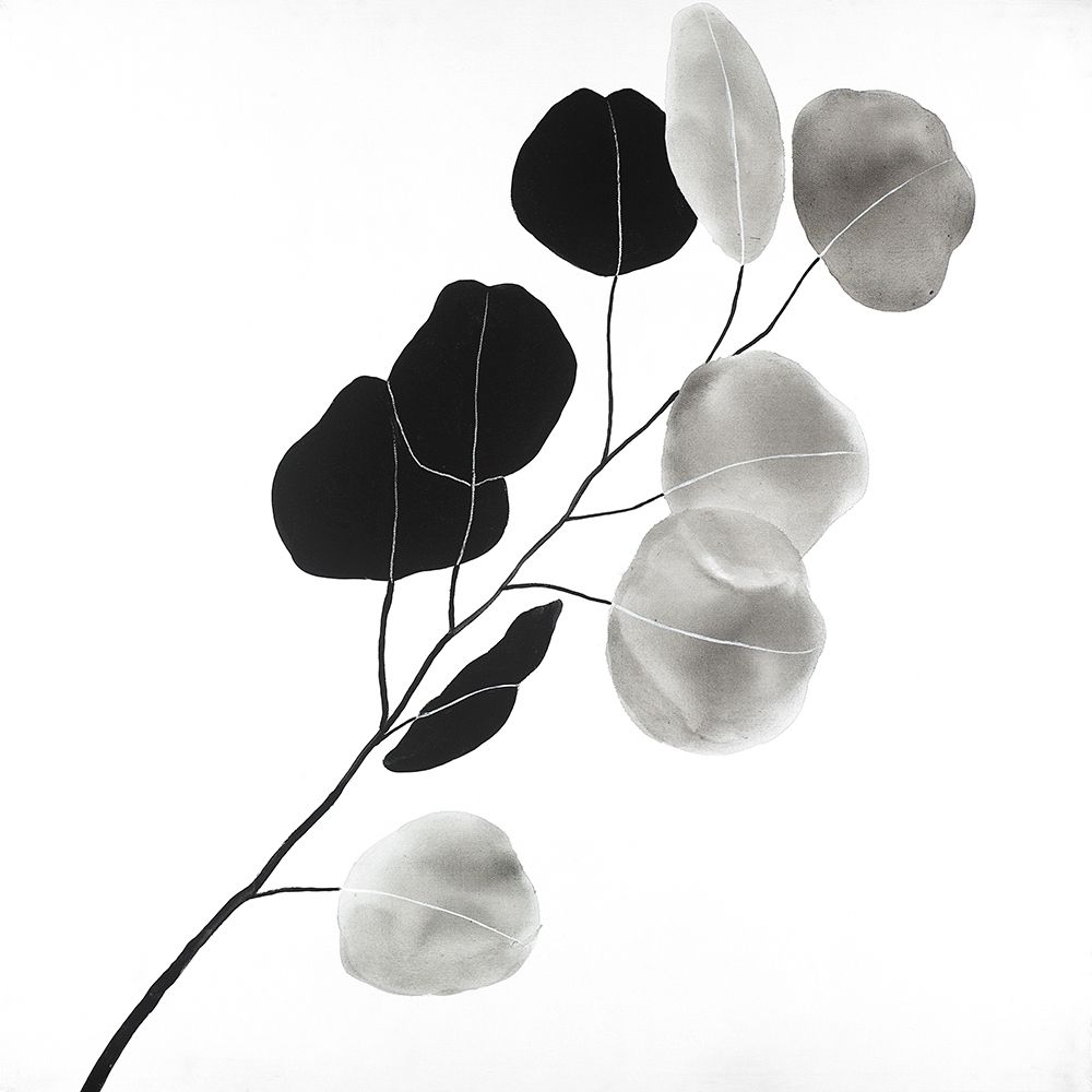 Grayscale Branch with Round Shape Leaves art print by Atelier B Art Studio for $57.95 CAD