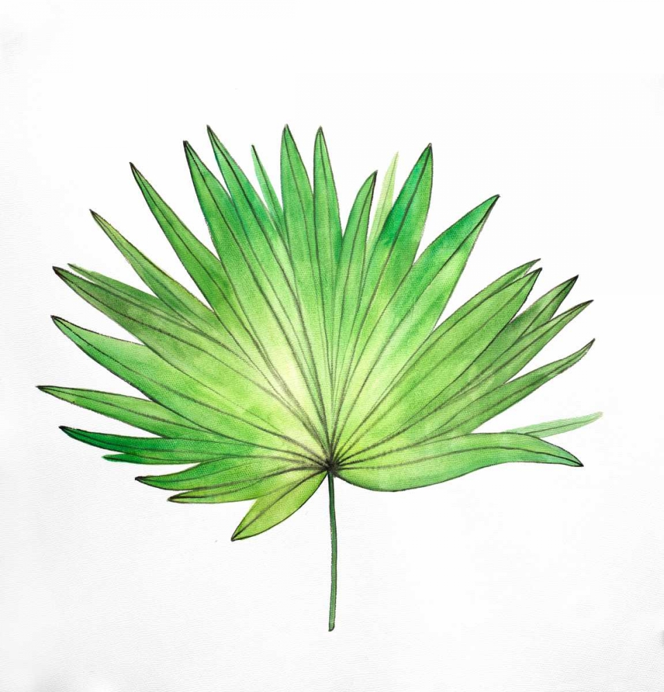 Fan Palm Leaf art print by Atelier B Art Studio for $57.95 CAD