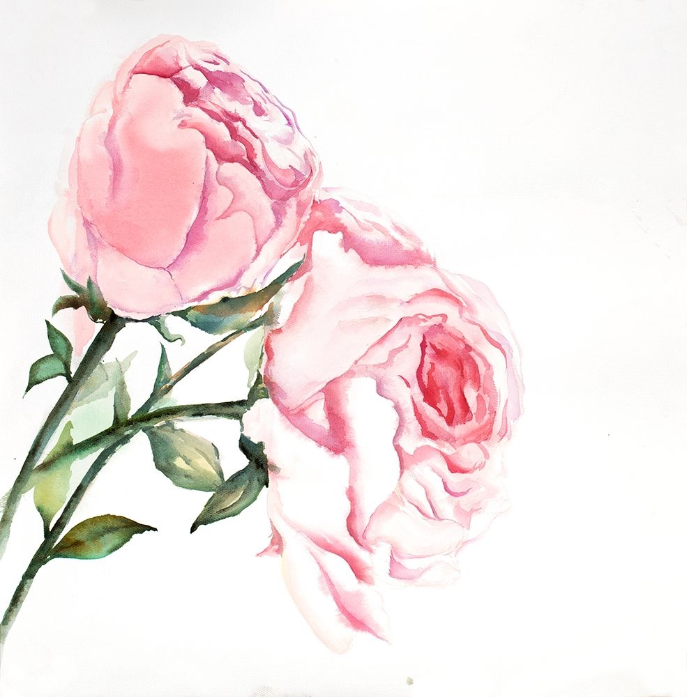 Watercolor Pink Roses art print by Atelier B Art Studio for $57.95 CAD
