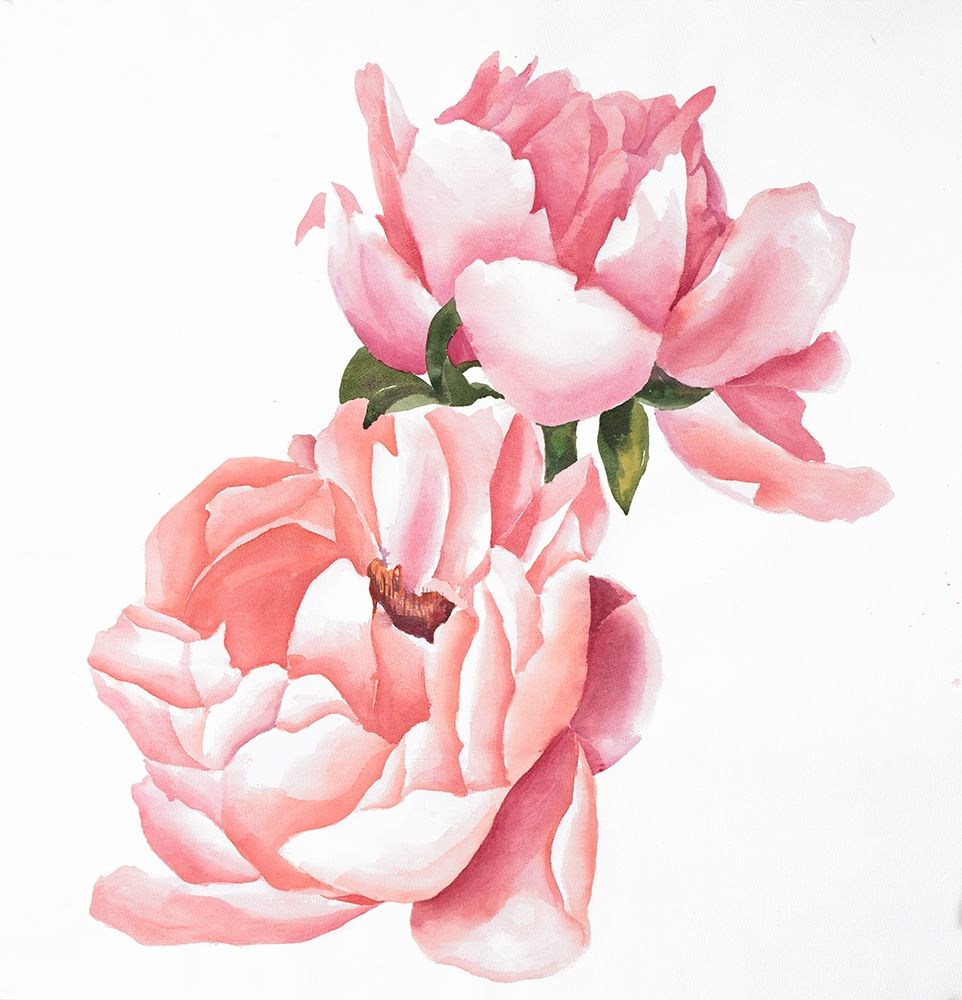 Two Pink Watercolor Roses art print by Atelier B Art Studio for $57.95 CAD