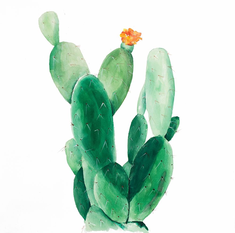 Watercolor Paddle Cactus with Flower art print by Atelier B Art Studio for $57.95 CAD