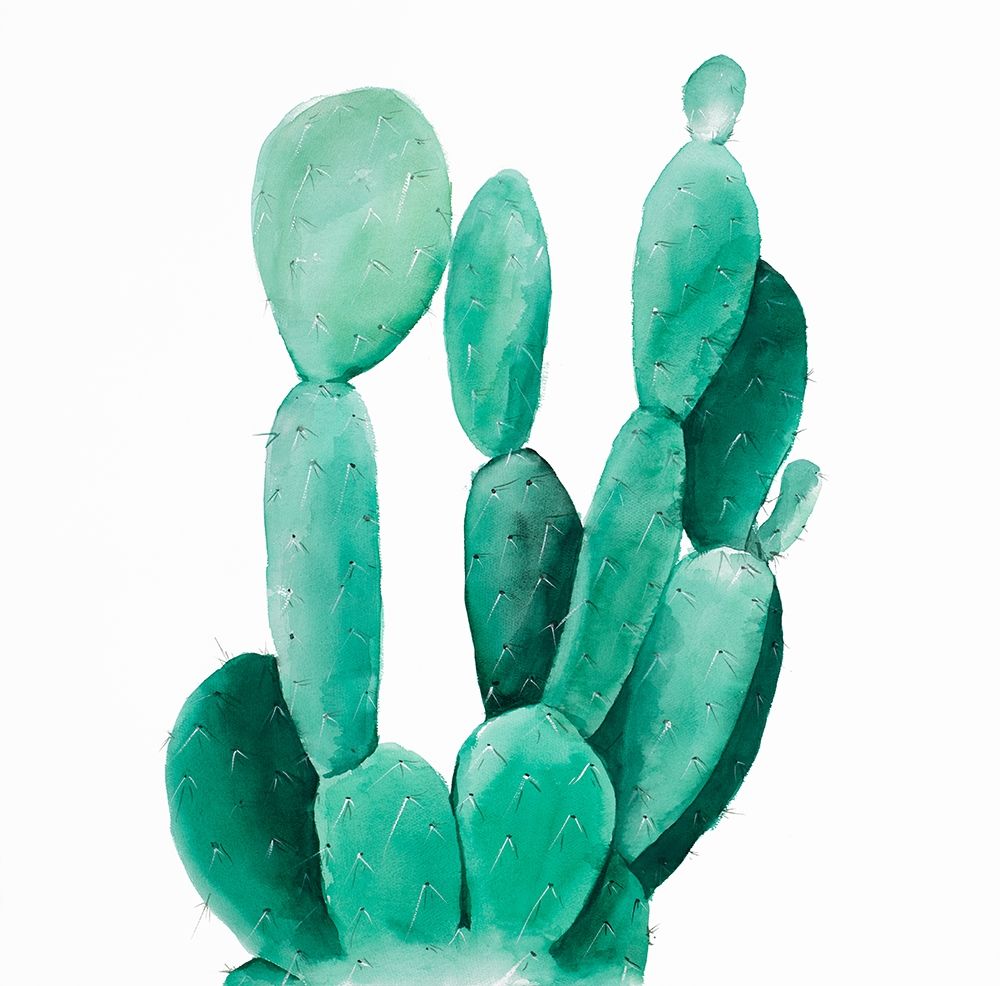 Watercolor Paddle Cactus art print by Atelier B Art Studio for $57.95 CAD