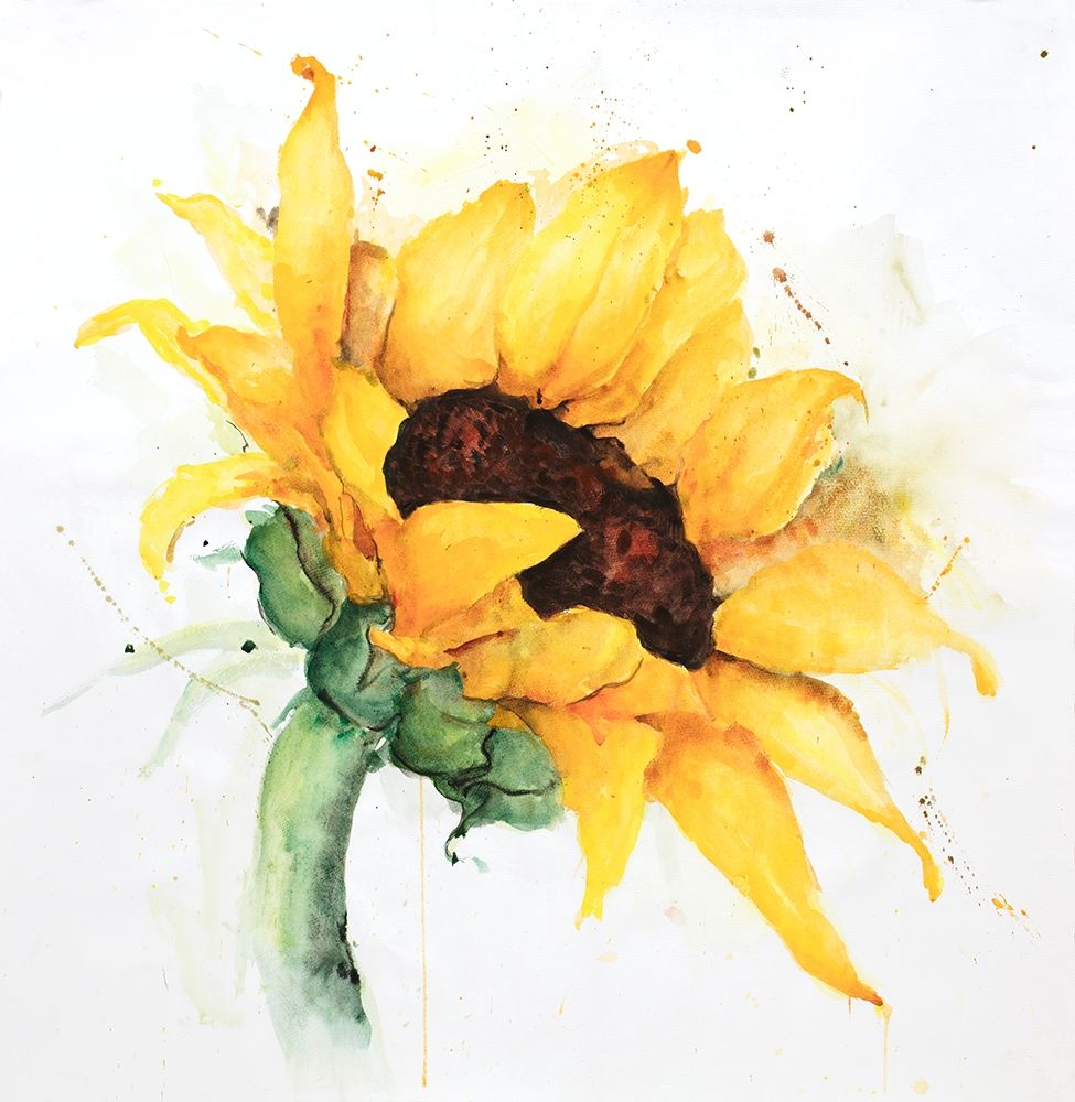 WATERCOLOR SUNFLOWER WITH PAINT SPLASH art print by Atelier B Art Studio for $57.95 CAD