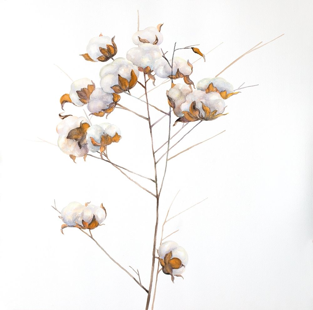 Cotton Flowers Branch art print by Atelier B Art Studio for $57.95 CAD