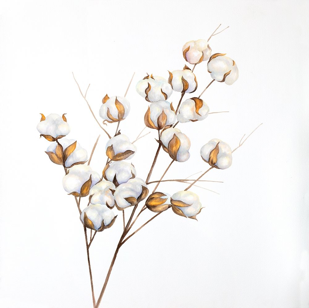 A Branch of Cotton Flowers art print by Atelier B Art Studio for $57.95 CAD
