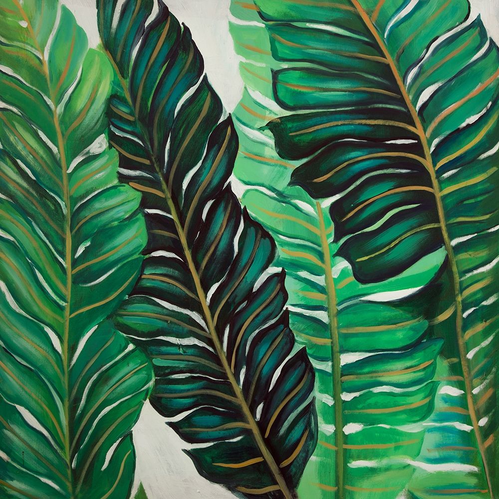 SEVERAL EXOTIC PLANT LEAVES art print by Atelier B Art Studio for $57.95 CAD