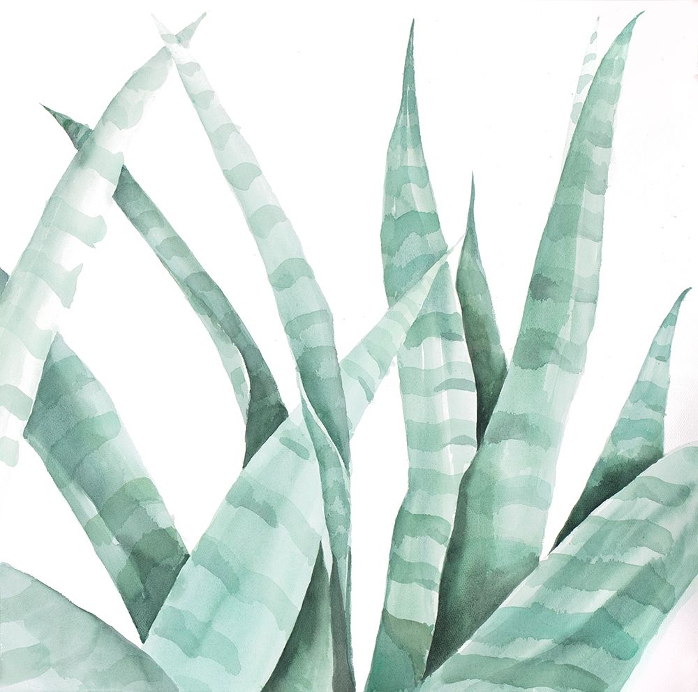 Watercolor Striped Desert Plant art print by Atelier B Art Studio for $57.95 CAD