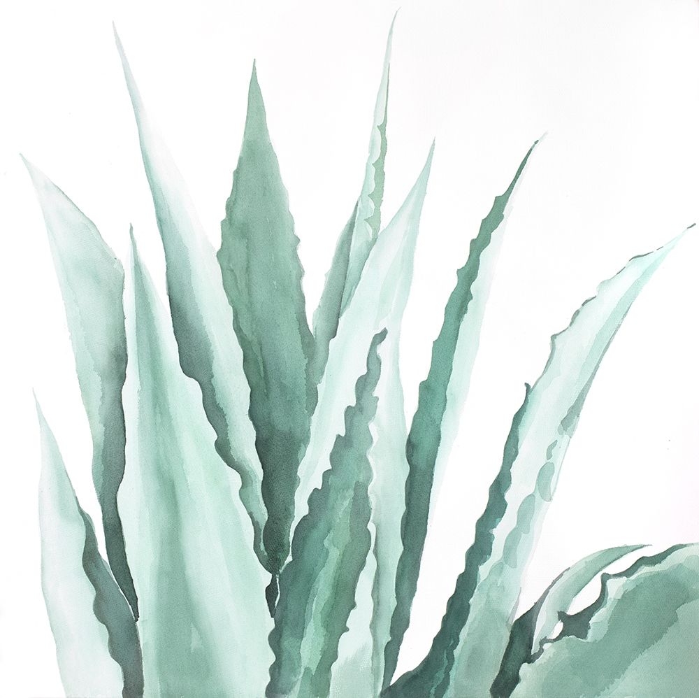Watercolor Agave Plant art print by Atelier B Art Studio for $57.95 CAD