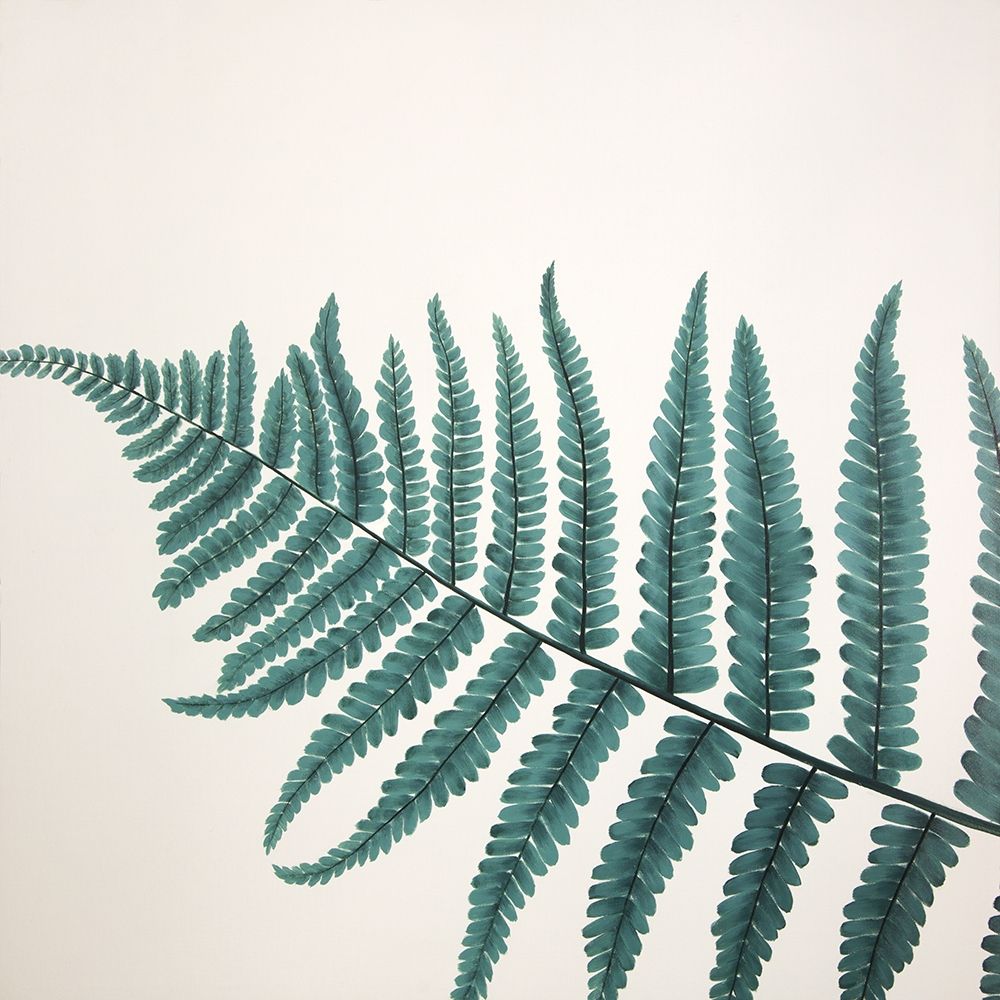 BEAUTIFUL FERN art print by Atelier B Art Studio for $57.95 CAD